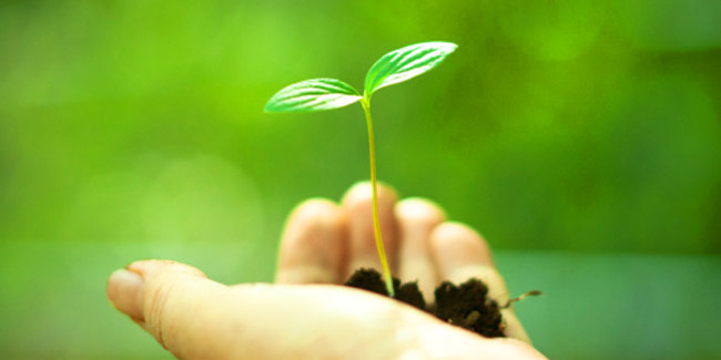 روز جهانی طبیعت